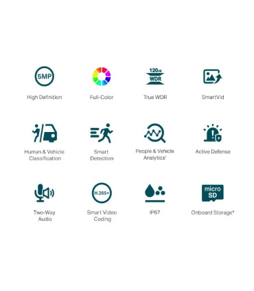 VIGI Cámara IP Bullet C350 5MP Plástico Full-Color