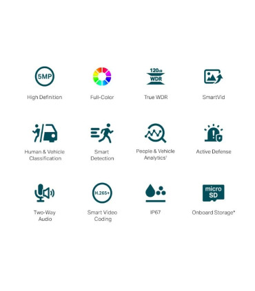 VIGI Cámara IP Bullet C350 5MP Plástico Full-Color