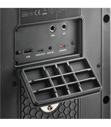 NGS Altavoz Wildbash 300W Bateria recargable IPX6