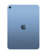 Apple IPAD WIFI 256GB BLUE