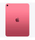 Apple IPAD WIFI 256GB PINK