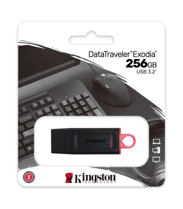 Kingston DataTraveler DTX 256GB USB 3.2 Gen1 Negro