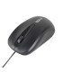 iggual Ratón óptico COM-BASIC2-800DPI negro