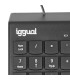 iggual Teclado numérico USB CK-NUM-19T negro