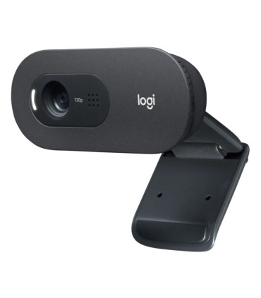 Logitech Webcam c505E 1280*720 Negro