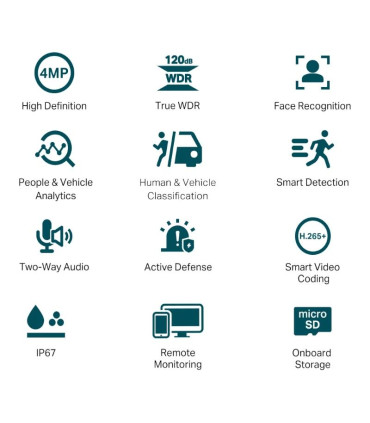 VIGI Cámara IP Bullet C340S 4MP Plástico Full-Colo