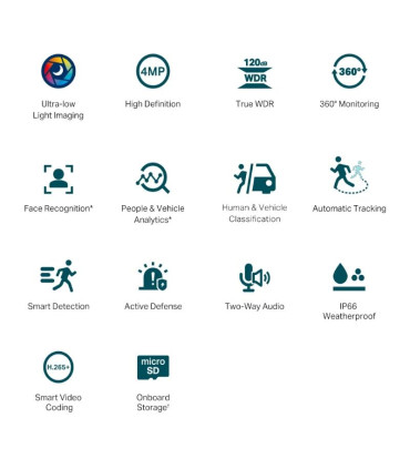 VIGI Cámara IP PT C540S 4MP Plástico Full-Color 4m