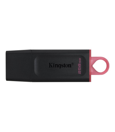 Kingston DataTraveler DTX 256GB USB 3.2 Gen1 Negro