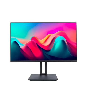 NILOX NXM24REG11 Monitor 24 IPS VGA HDMI DP AA MM