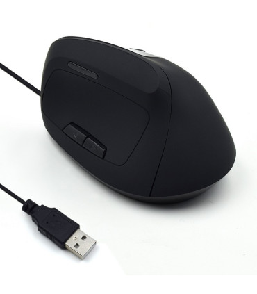 Ewent EW3157 Ratón óptico Vertical Usb 2.0