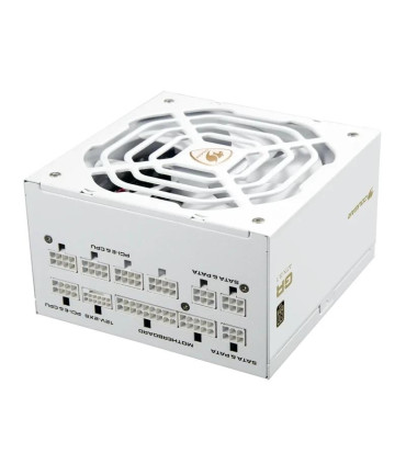 Cougar Fuente Alimentación GR 1000 Snow 80+ Gold