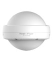 Reyee AP AX1800 WiFi6 Dual Outdoor IP68