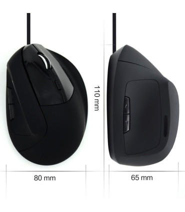 Ewent EW3157 Ratón óptico Vertical Usb 2.0