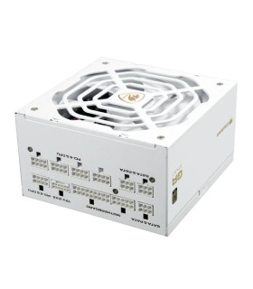 Cougar Fuente Alimentación GR 1000 Snow 80+ Gold