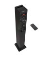 NGS SKYCHARM Torre BLUETOOTH 2.1 80W
