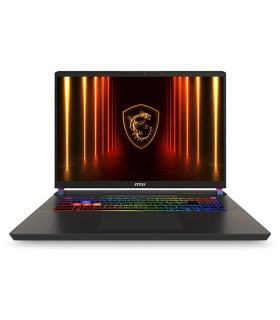 MSI Vector A16HX-050XES AMD R9 32 1TB 5070Ti DOS