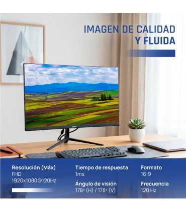 iggual Monitor 24" IPS 1ms FHD 120Hz VGA HDMI Slim