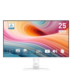 MSI MP251W E2 Monitor 24.5" IPS FHD 16:9 120h VGA