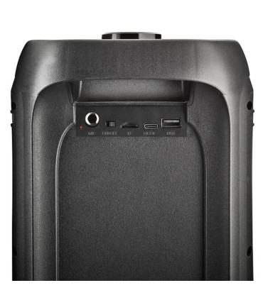 NGS Altavoz PORT WILDBANGER2 BT 160W 4H