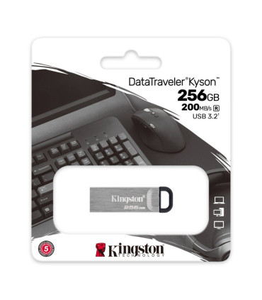Kingston DataTraveler DTKN 256GB USB 3.2 Gen1 Plat