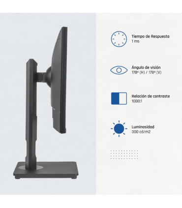 iggual Monitor 24" VGA HDMI 120Hz pivotante AA MM