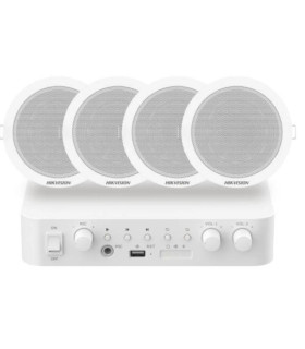 Hikvision DS-QAE0KA60206-4 Kit 1xAmpl 4xAlta Techo