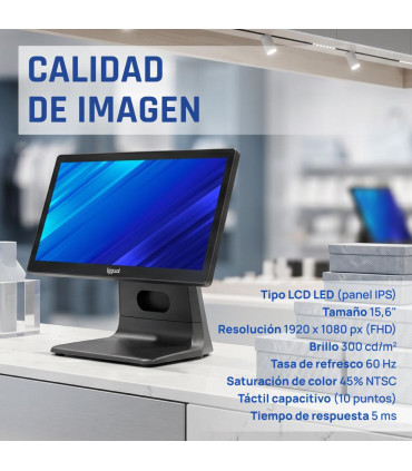 iggual TPV 15,6" N100 8+256GB W11Pro + Software