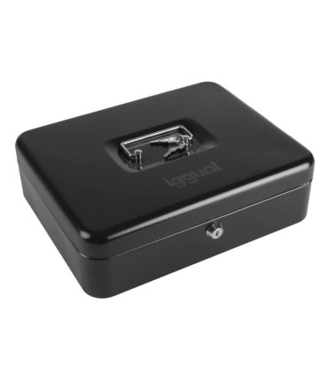 iggual Caja efectivo 3+8 30x24x9 cm IRON-TINY