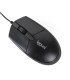 iggual Ratón óptico COM-BASIC3-800DPI negro