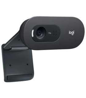 Logitech Webcam c505E 1280*720 Negro