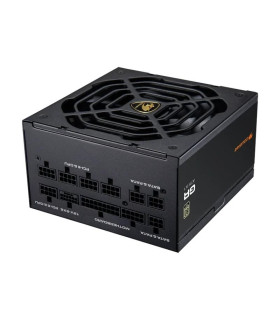 Cougar Fuente Alimentación GR 1000w 80 Plus Gold