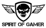 SPIRIT OF GAMER